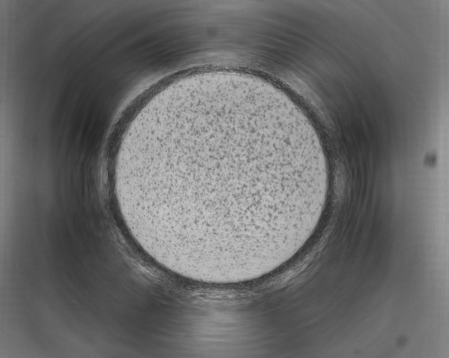 X0000116781070201001281209