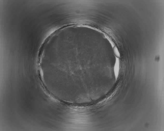 X0000116781071201001281209