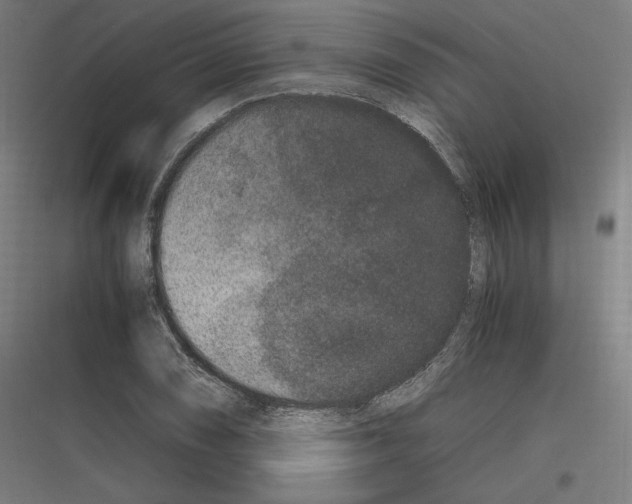 X0000116781074201001281209