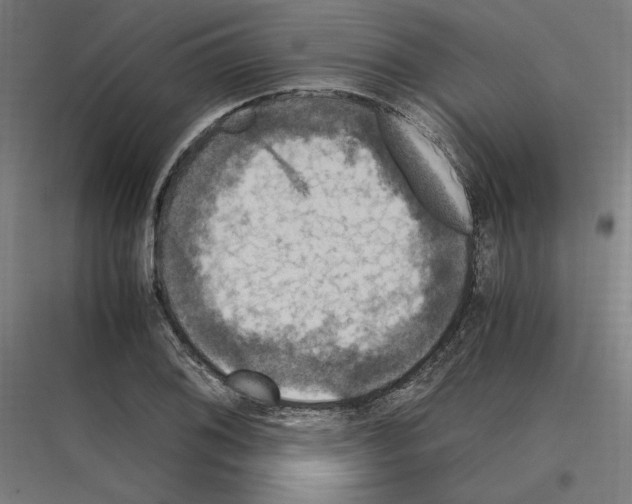 X0000116781076201001281209