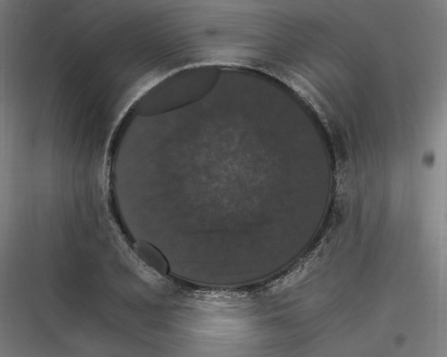 X0000116781077201001281209