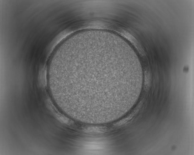 X0000116781078201001281209