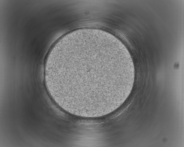 X0000116781079201001281209