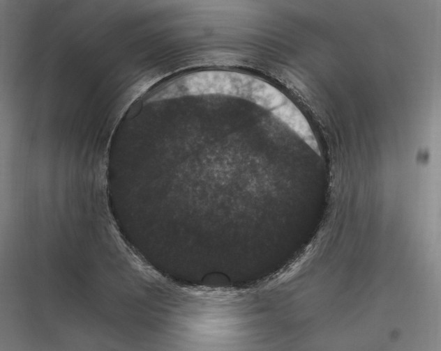 X0000116781081201001281209