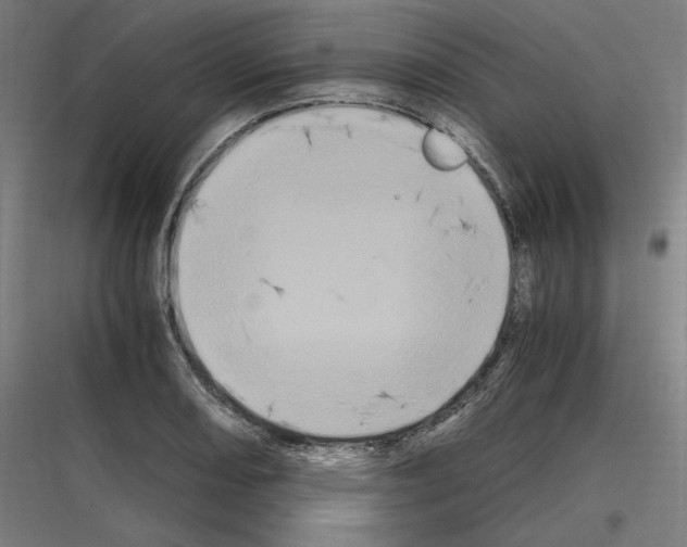 X0000116781082201001281209