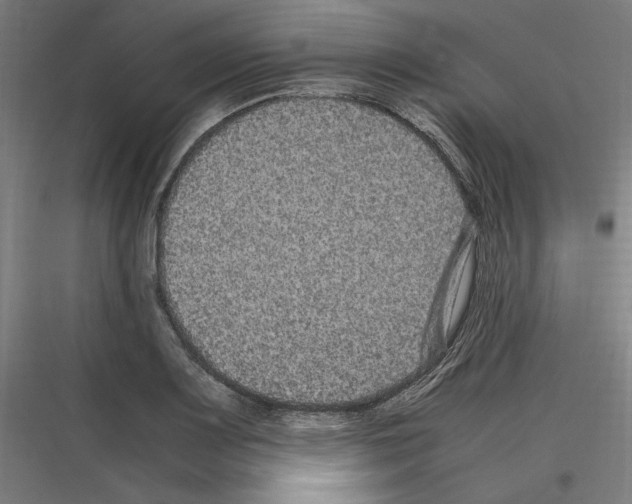 X0000116781083201001281209