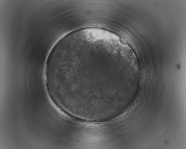 X0000116781084201001281209