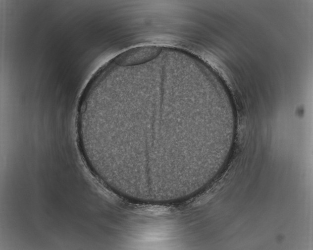 X0000116781085201001281209