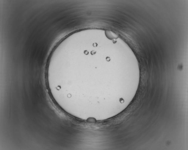 X0000116781086201001281209