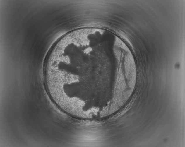 X0000116781087201001281209