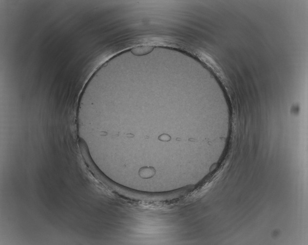 X0000116781089201001281209