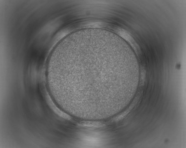 X0000116781090201001281209