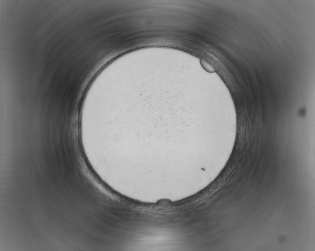 X0000116781092201001281209