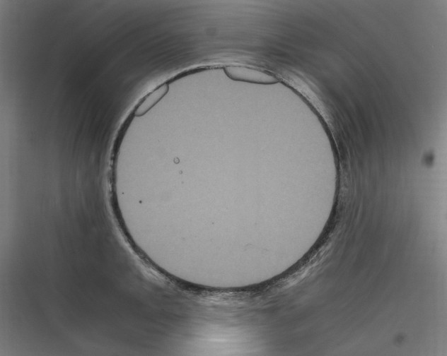 X0000116781093201001281209