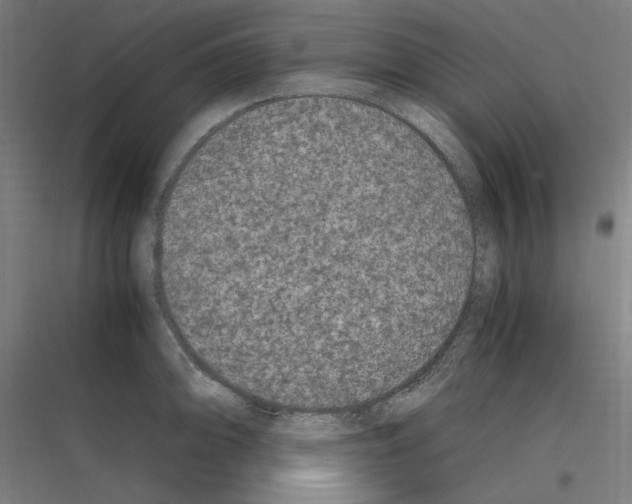 X0000116781094201001281209