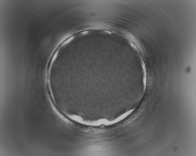 X0000116781095201001281209