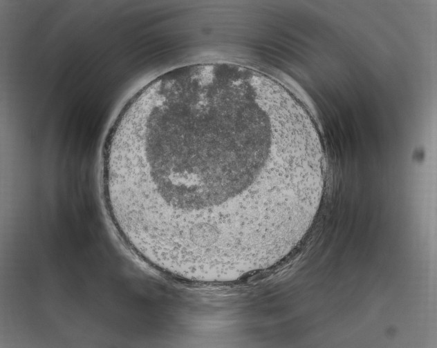 X0000116781096201001281209