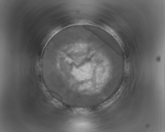 X0000116781097201001281209