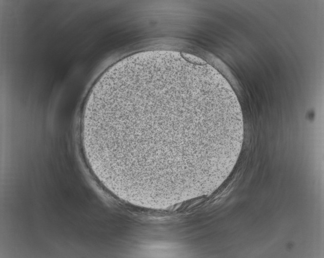 X0000116781099201001281209