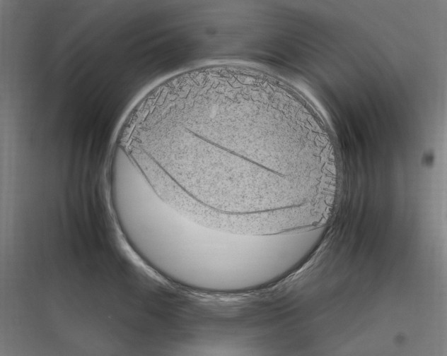 X0000116781100201001281209