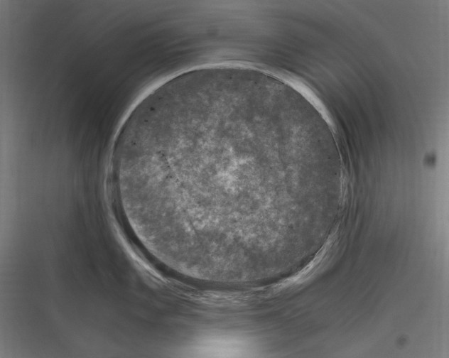 X0000116781101201001281209