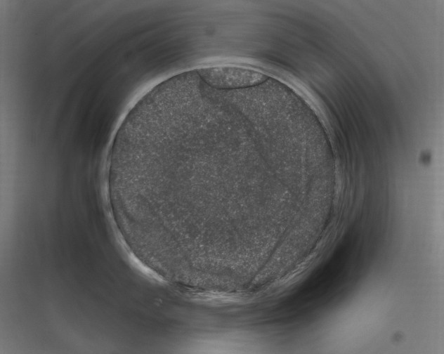 X0000116781102201001281209