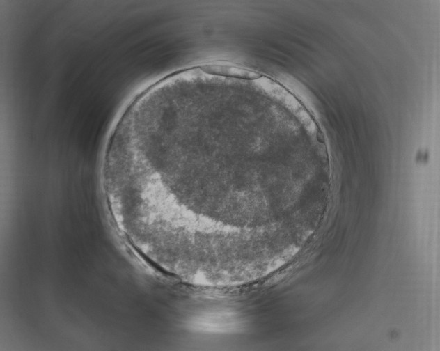 X0000116781104201001281209