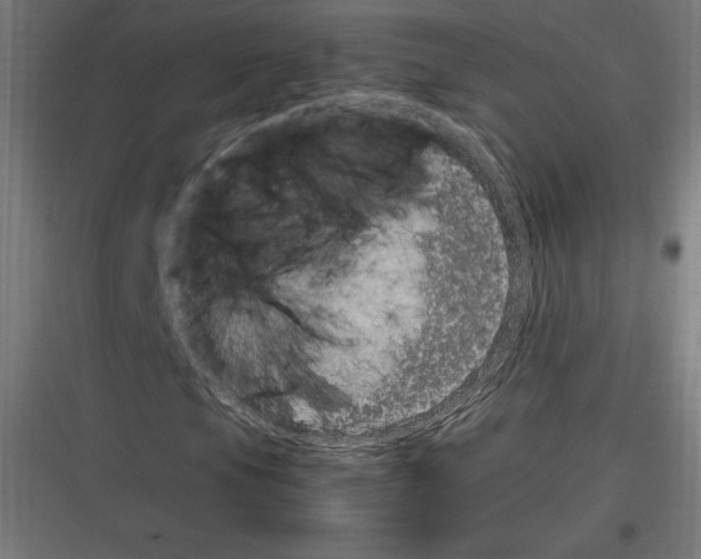 X0000116781105201001281208