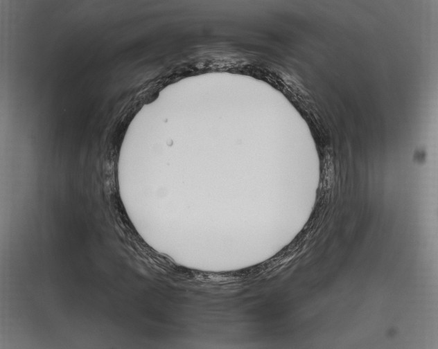 X0000116781109201001281208