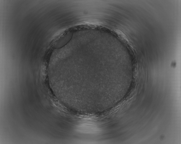 X0000116781110201001281208