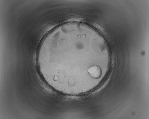 X0000116781113201001281208