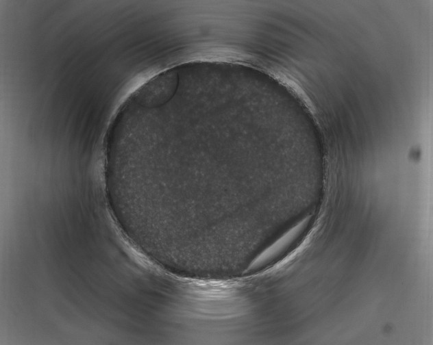 X0000116781114201001281208