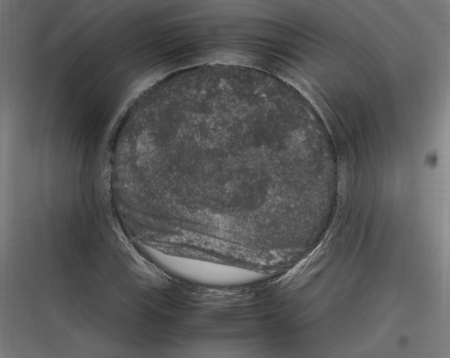 X0000116781115201001281209