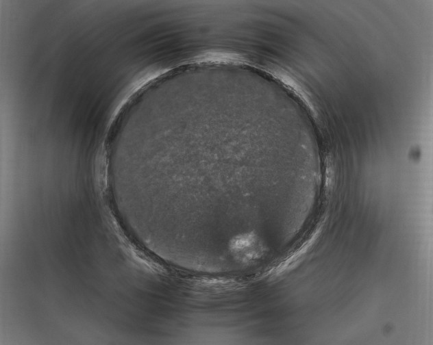 X0000116781117201001281209