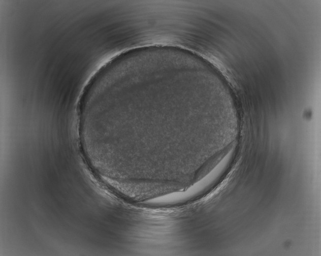 X0000116781118201001281209