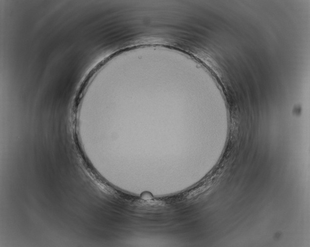 X0000116781119201001281209