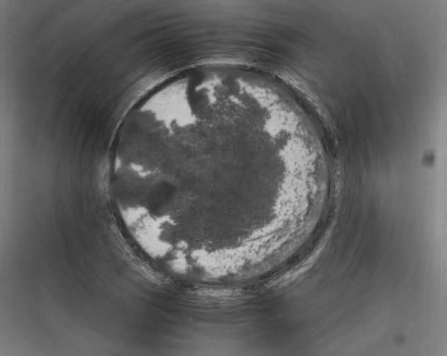 X0000116781121201001281209