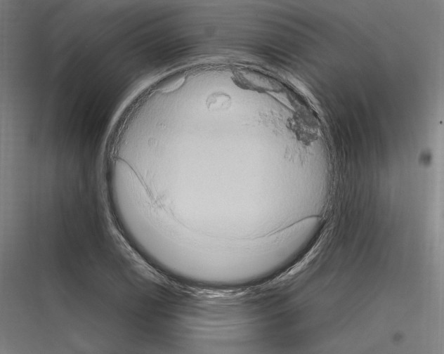 X0000116781122201001281209