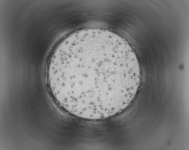 X0000116781123201001281209