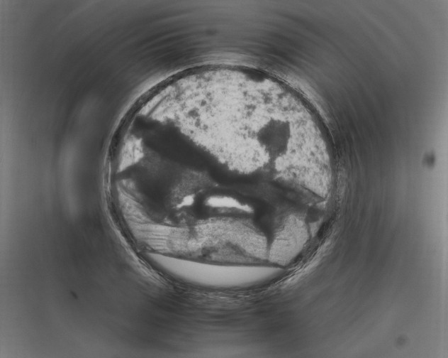 X0000116781125201001281209