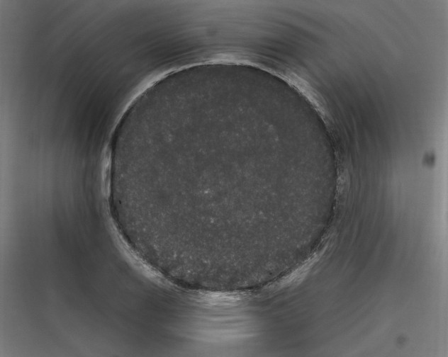 X0000116781126201001281209