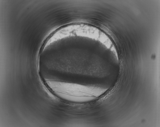 X0000116781127201001281209