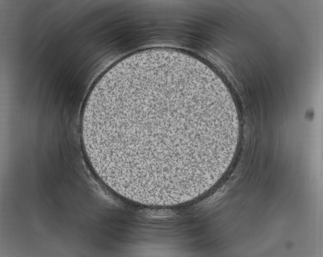 X0000116781129201001281209