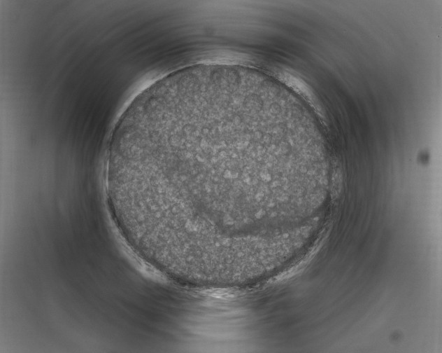 X0000116781130201001281209