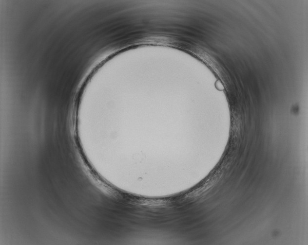 X0000116781131201001281209