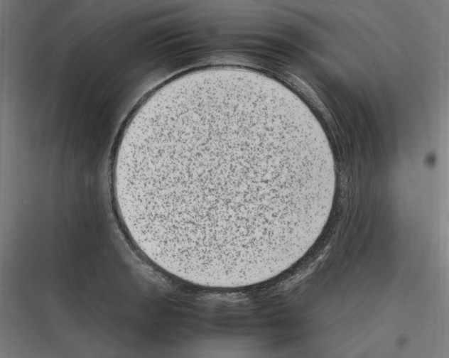 X0000116781133201001281209