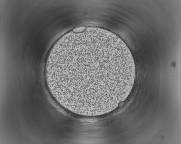 X0000116781134201001281209