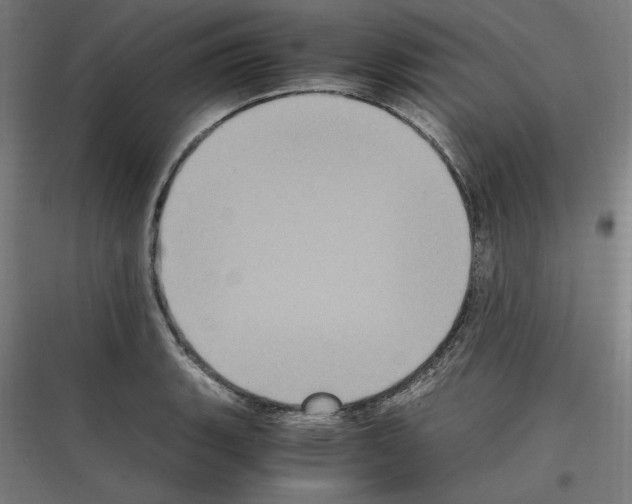 X0000116781135201001281209