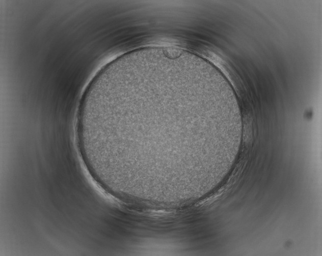 X0000116781139201001281209