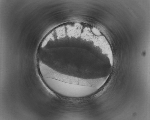 X0000116781141201001281209